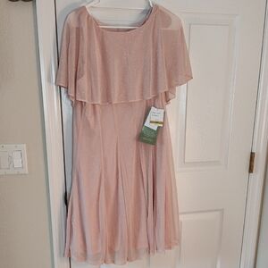 Elegant Pink Glitter Dress 14P